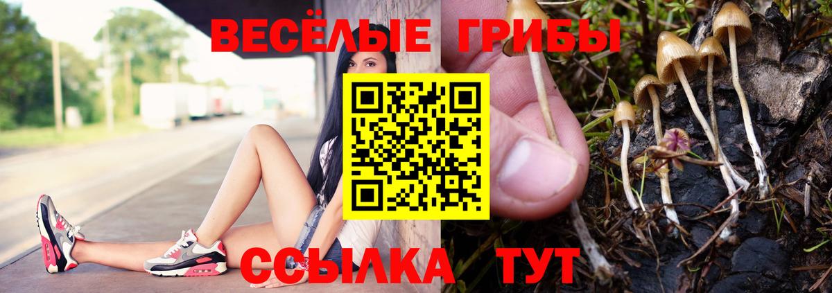 Калуга  Псилоцибиновые грибы мицелий  Галлюциногенные грибы мухоморы  Вход с VPN 
